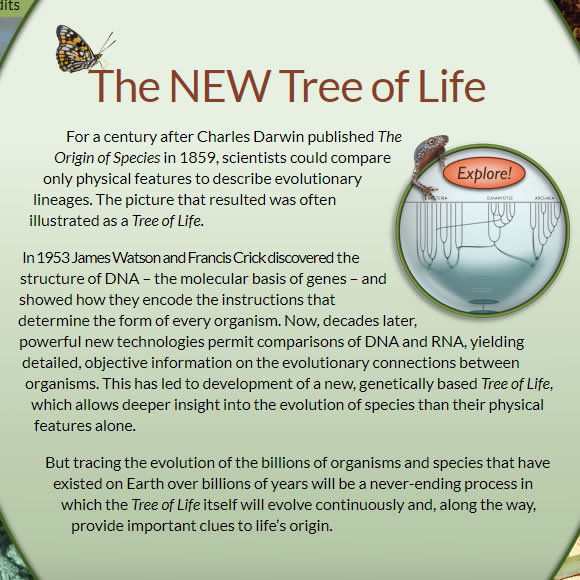 The New Tree of Life